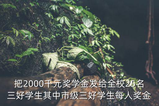 天津市三好學生獎學金，獲得市三好學生有獎金嗎