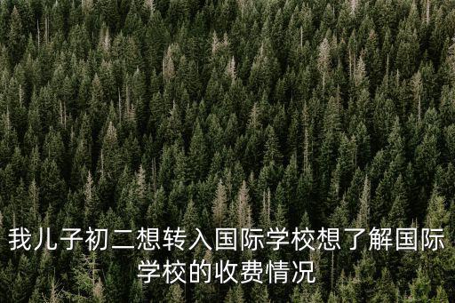 墨爾文國際學校成都學費，怎么進成都墨爾文學校一年學費是多少高中的