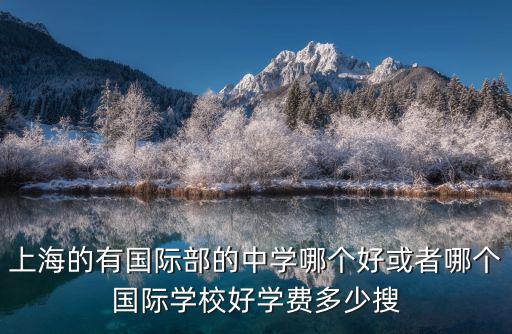 上海的有國際部的中學(xué)哪個好或者哪個國際學(xué)校好學(xué)費多少搜