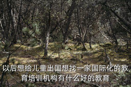以后想給兒童出國想找一家國際化的教育培訓機構(gòu)有什么好的教育