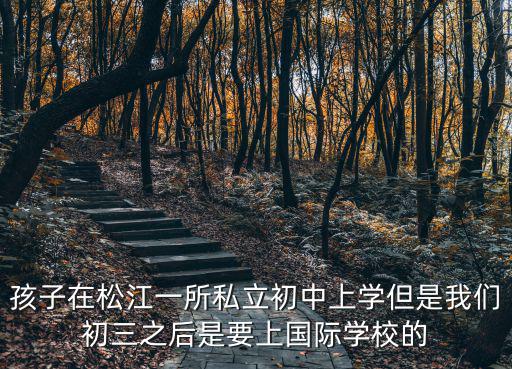 孩子在松江一所私立初中上學但是我們初三之后是要上國際學校的