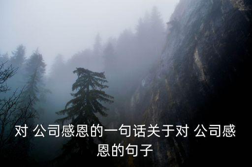 感謝公司的平臺感謝話,第二集:我和你一樣想要理財