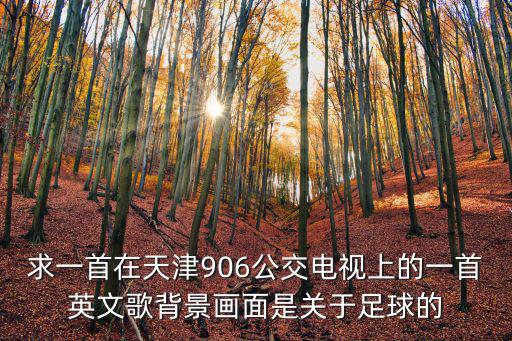 天津市906，天津906路公交車經過哪所大學
