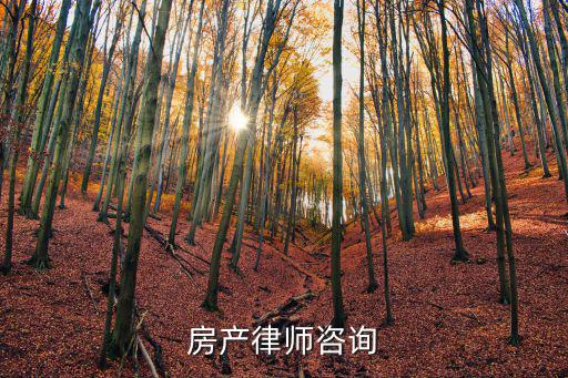 房產律師咨詢