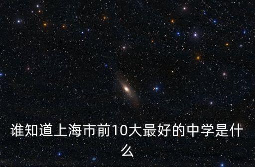 誰知道上海市前10大最好的中學是什么