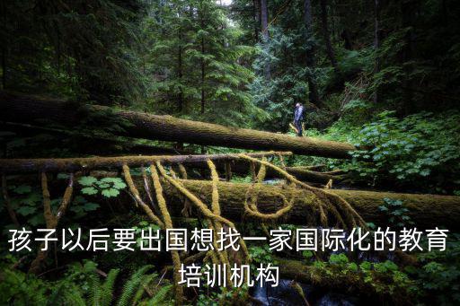 國際學校培訓機構，孩子以后要出國想找一家國際化的教育培訓機構
