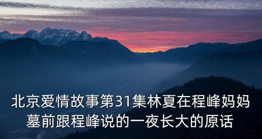 北京愛情故事第31集林夏在程峰媽媽墓前跟程峰說的一夜長大的原話