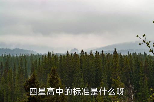 四星三星高中，四星高中的標準是什么呀