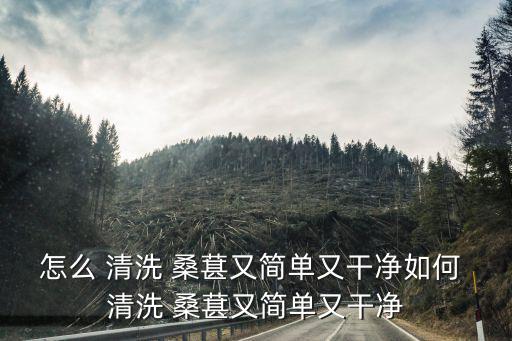 怎么 清洗 桑葚又簡單又干凈如何 清洗 桑葚又簡單又干凈