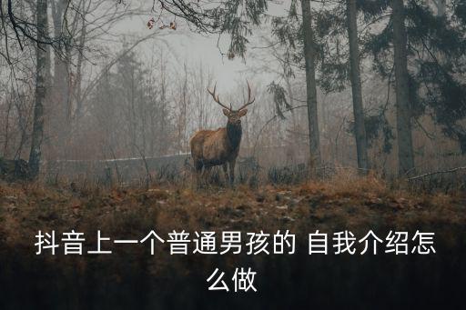  抖音上一個普通男孩的 自我介紹怎么做
