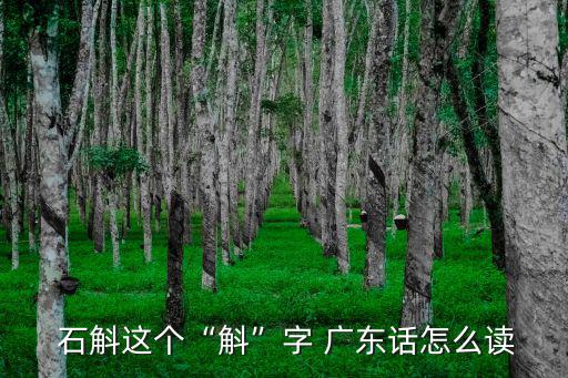  石斛這個“斛”字 廣東話怎么讀