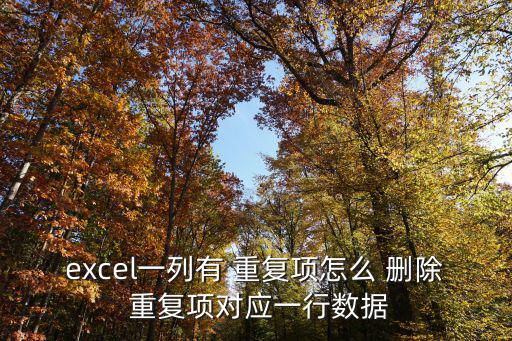 excel一列有 重復項怎么 刪除 重復項對應一行數據