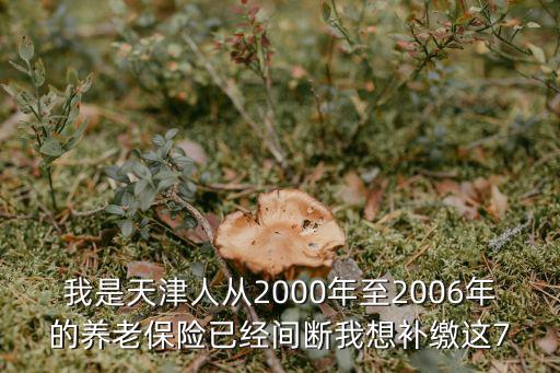 我是天津人從2000年至2006年的養(yǎng)老保險已經(jīng)間斷我想補繳這7