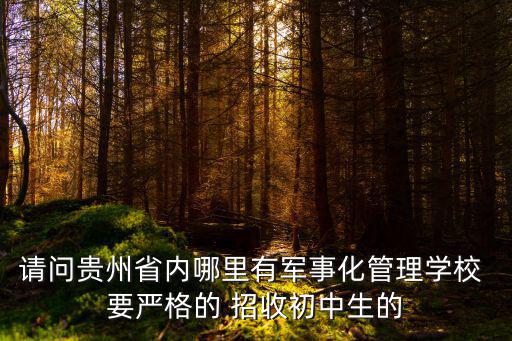 請(qǐng)問貴州省內(nèi)哪里有軍事化管理學(xué)校 要嚴(yán)格的 招收初中生的