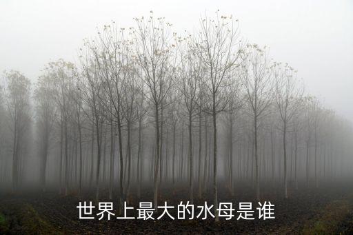 世界上最大的水母是誰