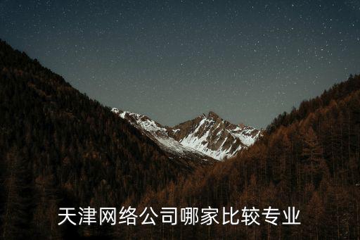 天津網絡公司哪家比較專業