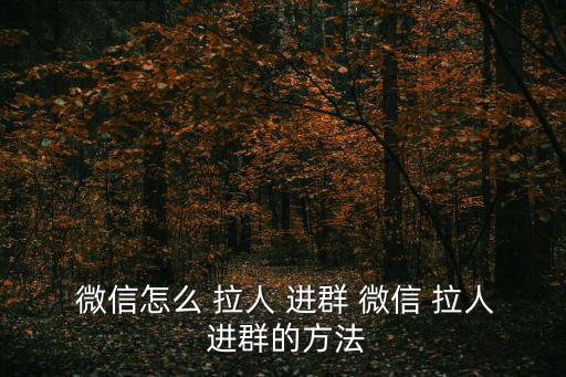  微信怎么 拉人 進(jìn)群 微信 拉人 進(jìn)群的方法