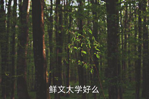 鮮文大學好么
