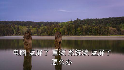 電腦 藍屏了 重裝 系統裝 藍屏了怎么辦