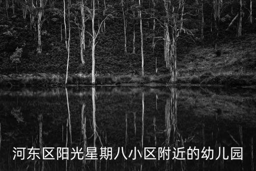 河?xùn)|區(qū)陽(yáng)光星期八小區(qū)附近的幼兒園