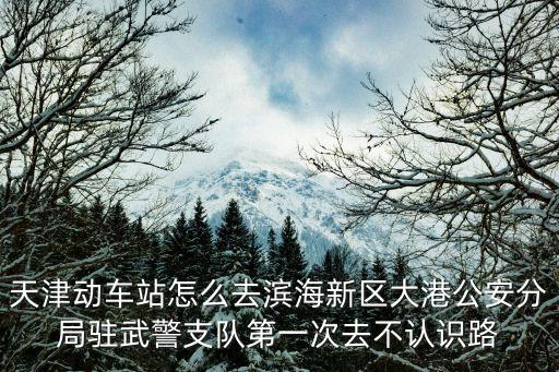 天津動車站怎么去濱海新區大港公安分局駐武警支隊第一次去不認識路