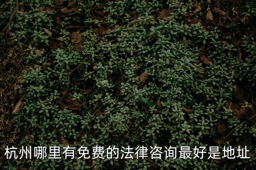 杭州哪里有免費的法律咨詢最好是地址