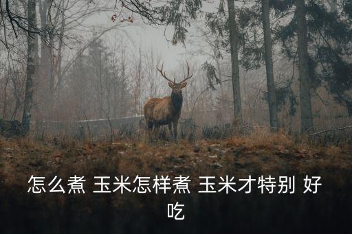 怎么煮 玉米怎樣煮 玉米才特別 好吃