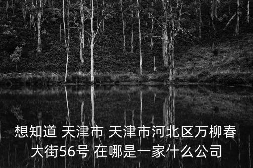 天津市嘉嘉鑫酒業有限公司，想知道 天津市 天津市河北區萬柳春大街56號 在哪是一家什么公司