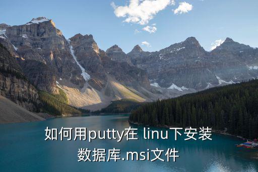 如何用putty在 linu下安裝數(shù)據(jù)庫.msi文件