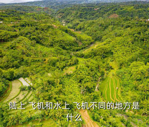 水陸兩用飛機(jī),onthewater飛機(jī)按結(jié)構(gòu)類型分為三種