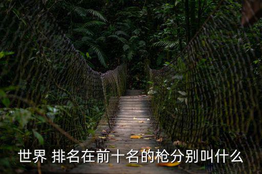世界 排名在前十名的槍分別叫什么