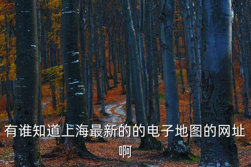 上海市地圖冊新版滬，最新的上海地圖