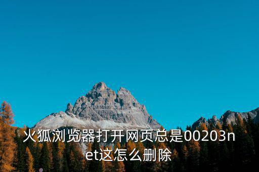 火狐瀏覽器打開網頁總是00203net這怎么刪除