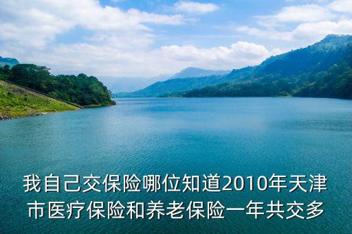 天津市2010養老保險，天津市2010年養老保險金額是多少