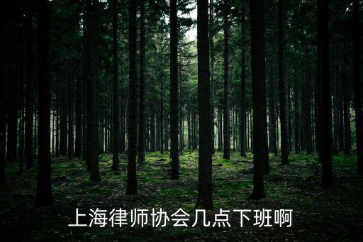 上海律師協會幾點下班啊