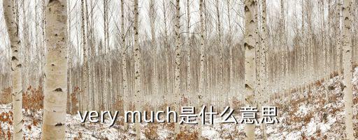 very much是什么意思