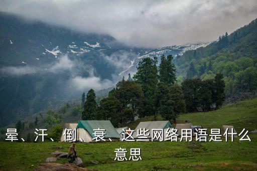 暈、汗、倒、衰、這些網絡用語是什么意思