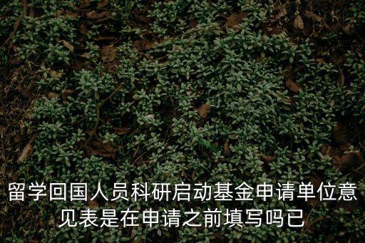 留學回國人員科研啟動基金申請單位意見表是在申請之前填寫嗎已