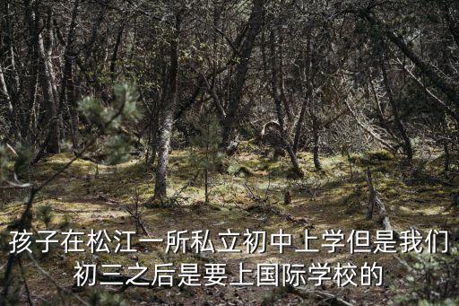 松江國際學校，松江有好多英語培訓學校有人知道哪家比較好嗎最好是自己學過