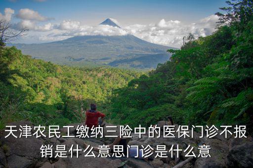 天津農民工繳納三險中的醫保門診不報銷是什么意思門診是什么意