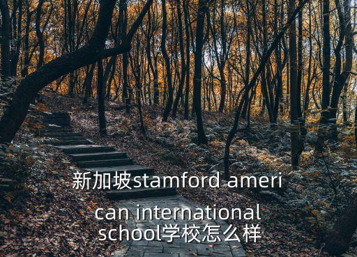新加坡stamford american international school學(xué)校怎么樣