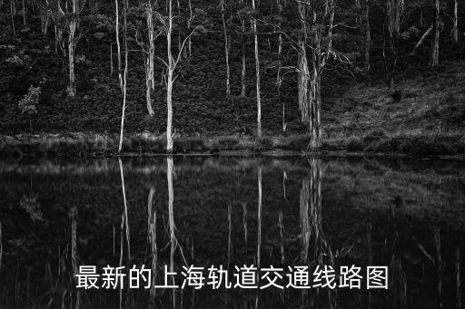 下載上海地鐵路線圖，最新的上海軌道交通線路圖