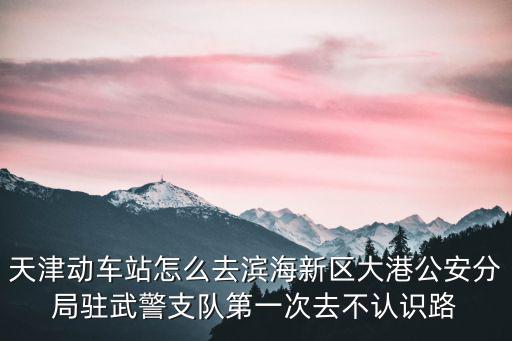 天津市濱海區(qū)部隊(duì)，天津?yàn)I海新區(qū)得開(kāi)發(fā)區(qū)第二大街和第三大街很亂嗎怎么執(zhí)勤都是武警