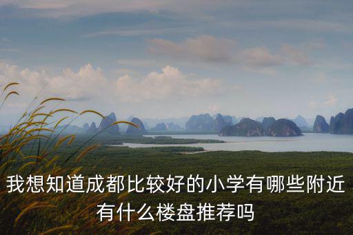 我想知道成都比較好的小學有哪些附近有什么樓盤推薦嗎
