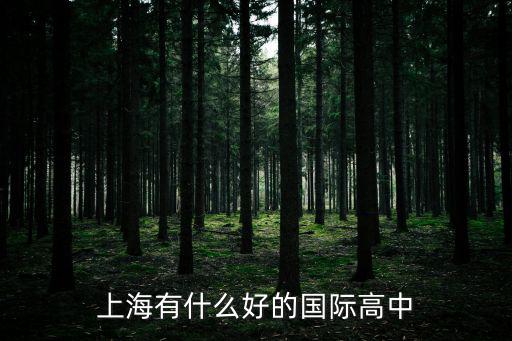 上海有什么好的國際高中