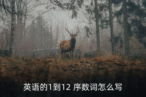 英語的1到12 序數(shù)詞怎么寫