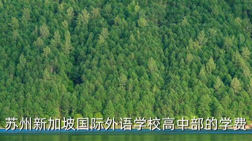 蘇州新加坡國(guó)際外語(yǔ)學(xué)校高中部的學(xué)費(fèi)