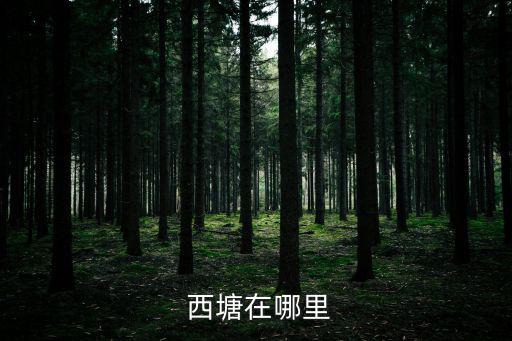 西塘,從上海到西塘或杭州蘇州到北塘都很近