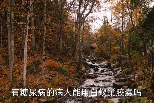 有糖尿病的病人能用白蟻巢膠囊嗎