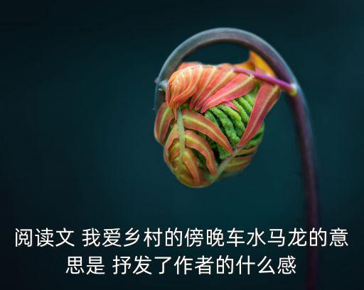 閱讀文 我愛鄉村的傍晚車水馬龍的意思是 抒發了作者的什么感